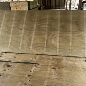 Ply Floor Treated 19mm 2700x1200 Downgrade *