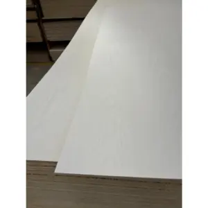 PVC Coated Caravan Ply 2440x1220 3mm Soft Pale Ash *